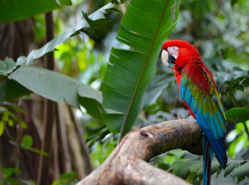 Colombie confidentielle